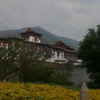 Bhutan: The Knight in Shining Armor in Ecological Conservation