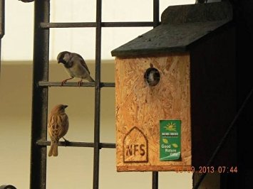 Nature Forever Sparrow And Tit Nestbox