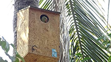 Nature Forever Parakeet Nestbox