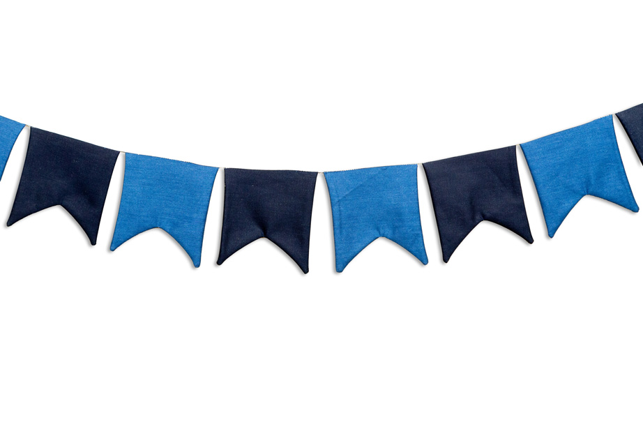 Buntings - Blue and Black ( W-shape)