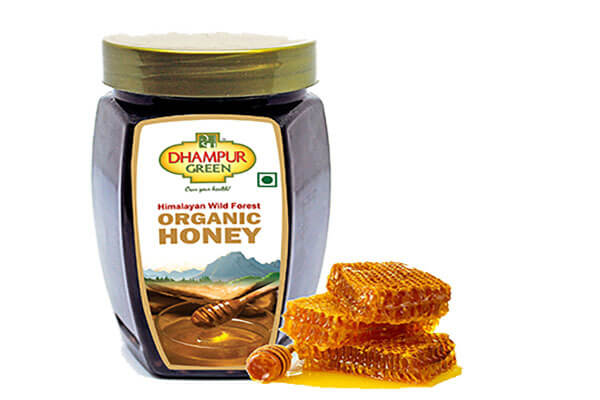 Dhampur Green Organic Honey - 500gms