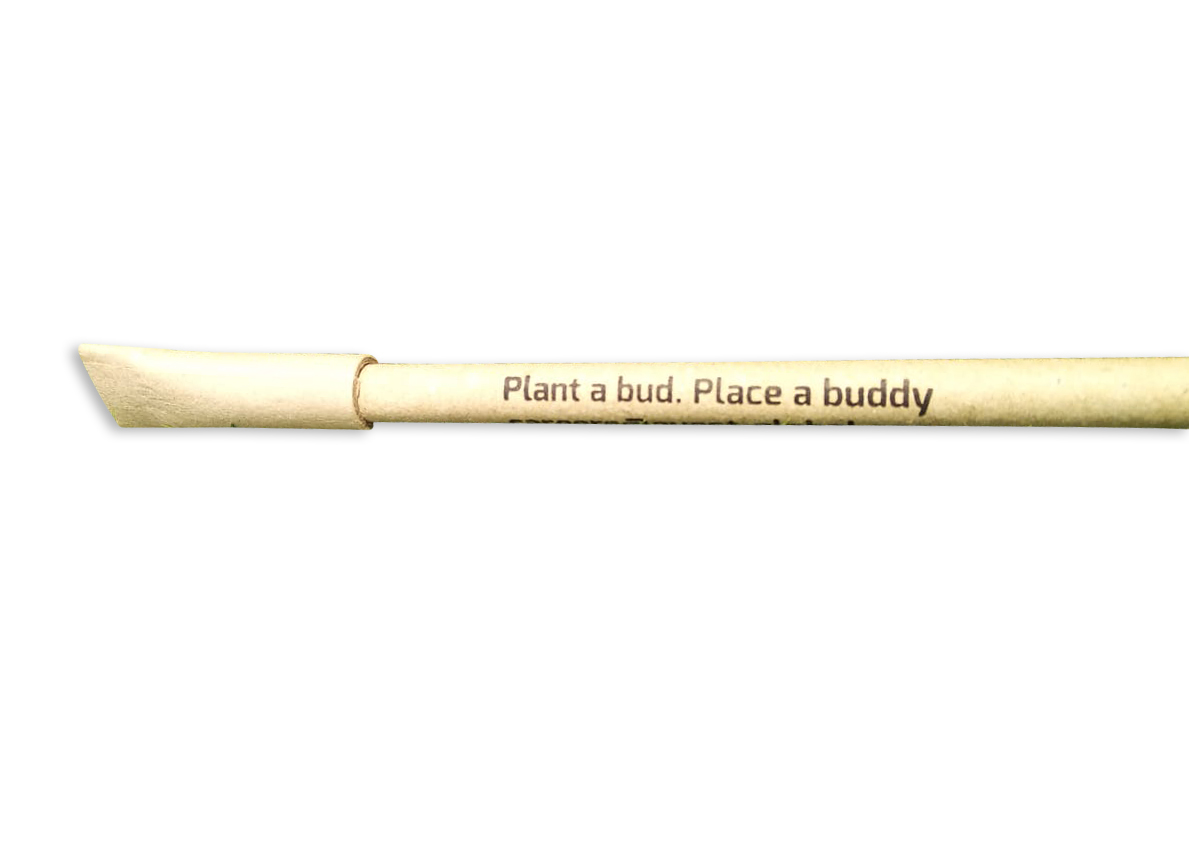 Eco friendly Plantable Seed Pen- (Pack of 50)