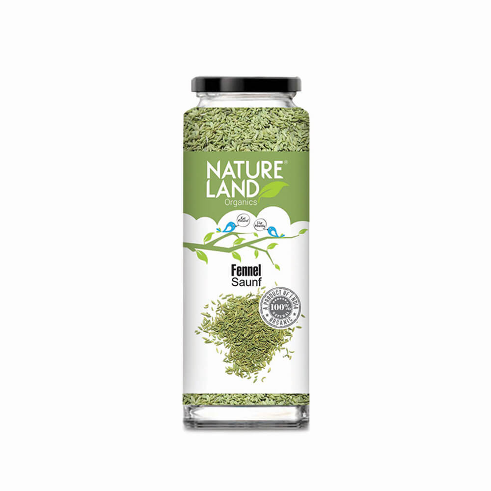 Organic Fennel (Saunf - 100gm)