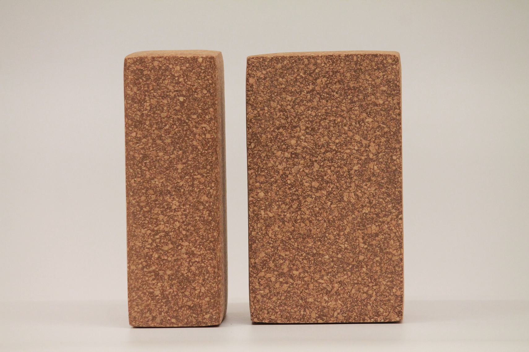 Sthairya the Cork Yoga Brick ( set of 2)