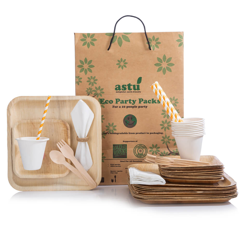 Perfect Eco-Friendly Disposable Party Pack (All in one)