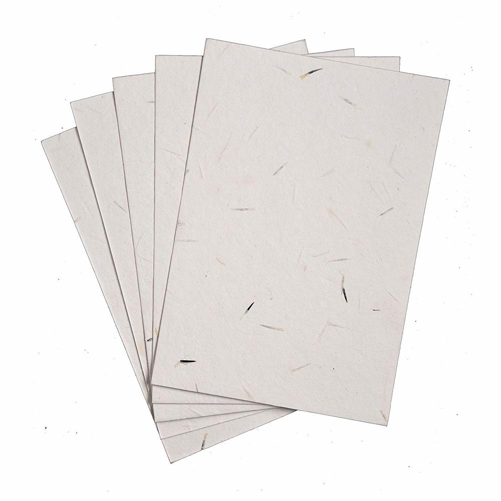 Plantable Seed Paper A4 Size -(Pack of 5)