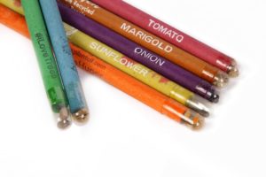 Plantable Seed Pencils - (Pack of 50)