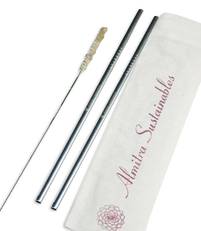 Reusable Stainless Straws (Straight)-Pack of 2 with Cleaner