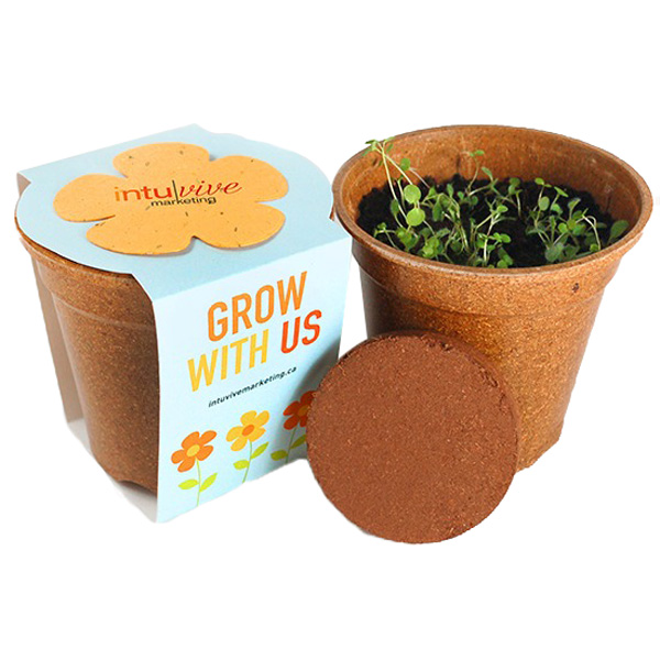 Sprouter Grow Kit -(Pack of 5)