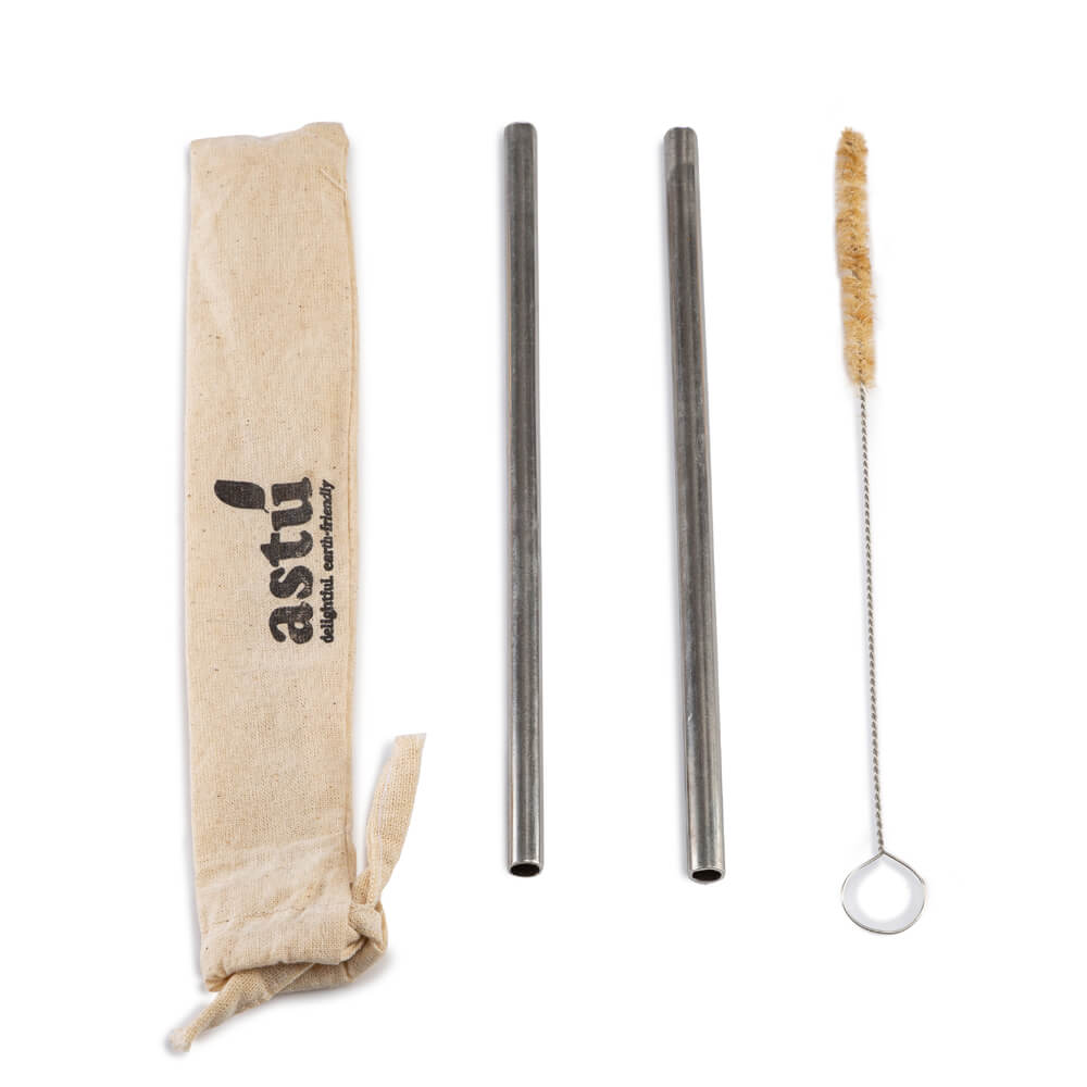 Eco-Friendly Reusable Food Grade Steel Straw with Coir bristles Cleaner (2 Straws, 1 Cleaner)