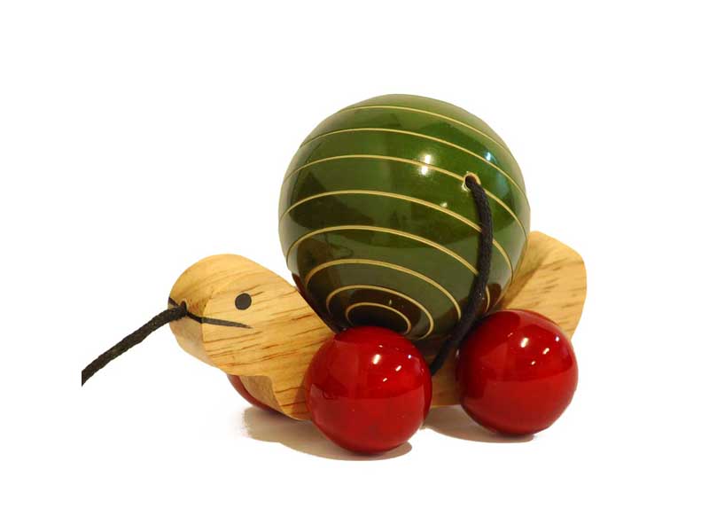 Tuttu Turtle Pull Toy (Green)