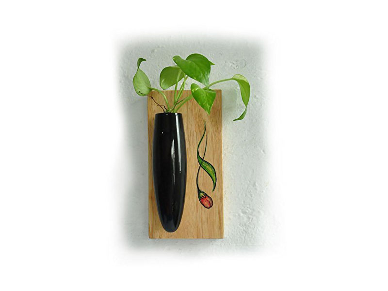 Wall Hanging Plant Holder (Black)