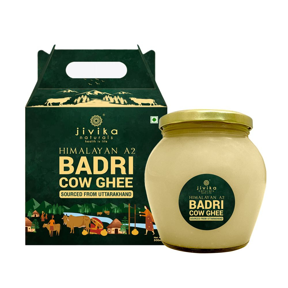 Jivika Organics® Premium A2 Badri Cow Ghee 500ml | Vedic Bilona Ghee from Uttarakhand | Hand Churned from Whole Curds | A2 Milk from Grass Fed Badri Cow | Pure and Authentic | (Glass Bottle 0.5 Litre)