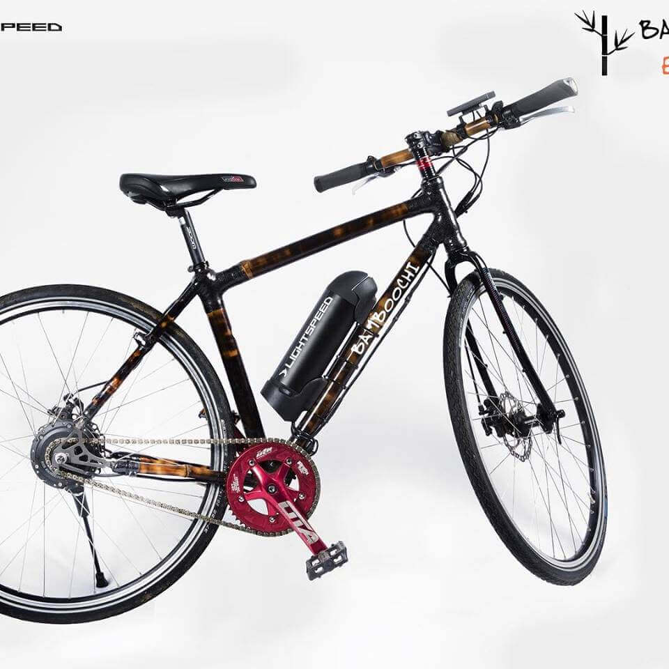 Electric Bamboo Bicycle/E-Bamboo Bikes