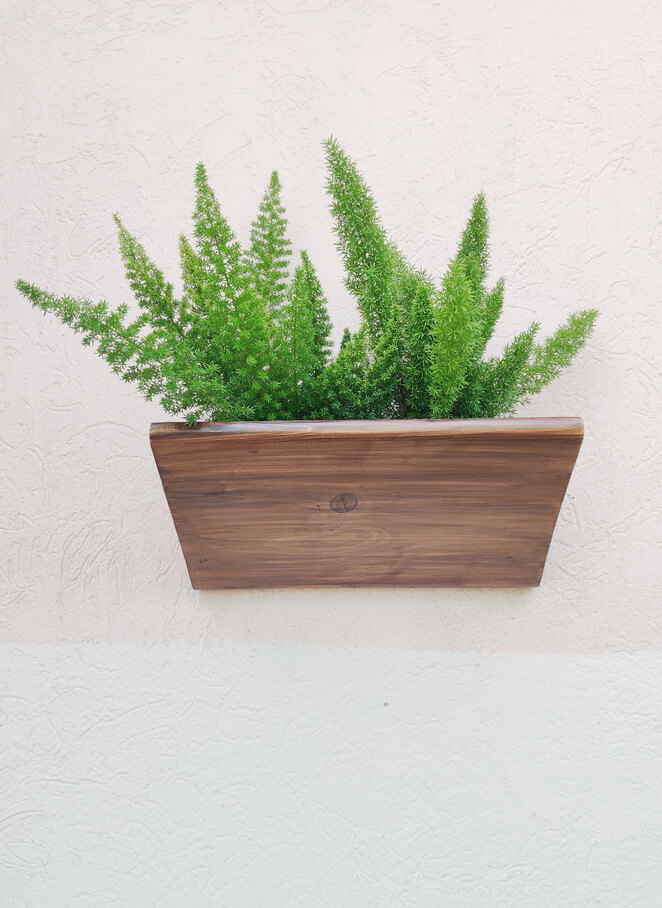 Wall hung Planter 