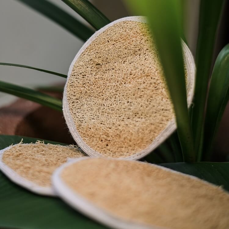 Natural Loofah | Body Scrubber | Pack of 4