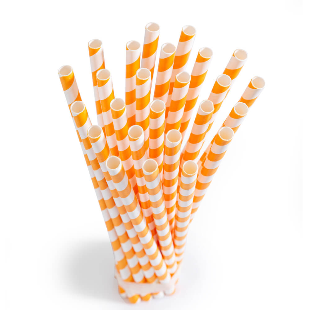 Eco-friendly Paper straws coloured : 6mm (Pack of 50)