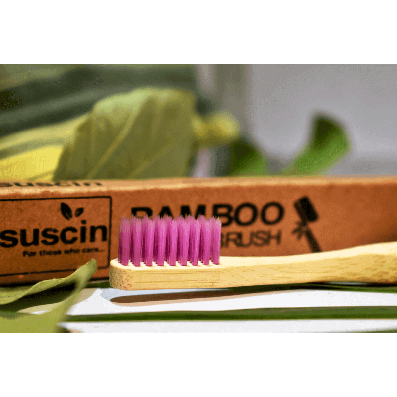 Premium Bamboo PHOENIX Toothbrush Purple Single