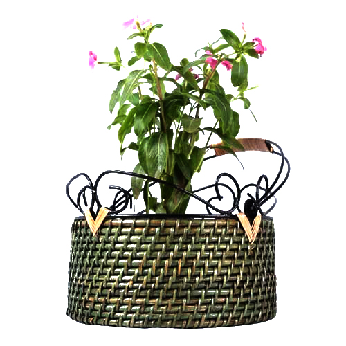 Natural Cane Hanging Planter (Round 9