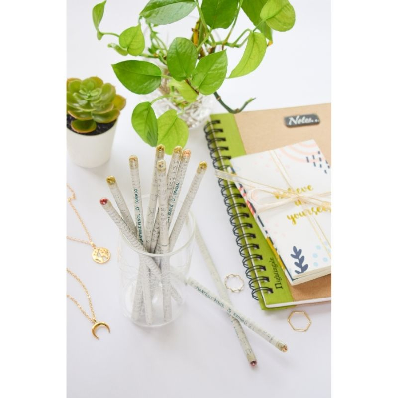 Recycled Paper Pencils with Plantable Seeds - Pack of 20 Pencils